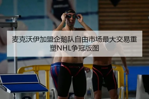 麦克沃伊加盟企鹅队自由市场最大交易重塑NHL争冠版图