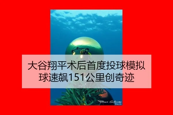 da-gu-xiang-ping-shu-hou-shou-du-tou-qiu-mo-ni-qiu-su-biao-gong-li-chuang-qi-ji-2-491.jpg