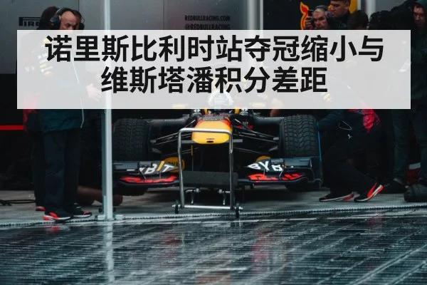 Max Verstappen Red Bull